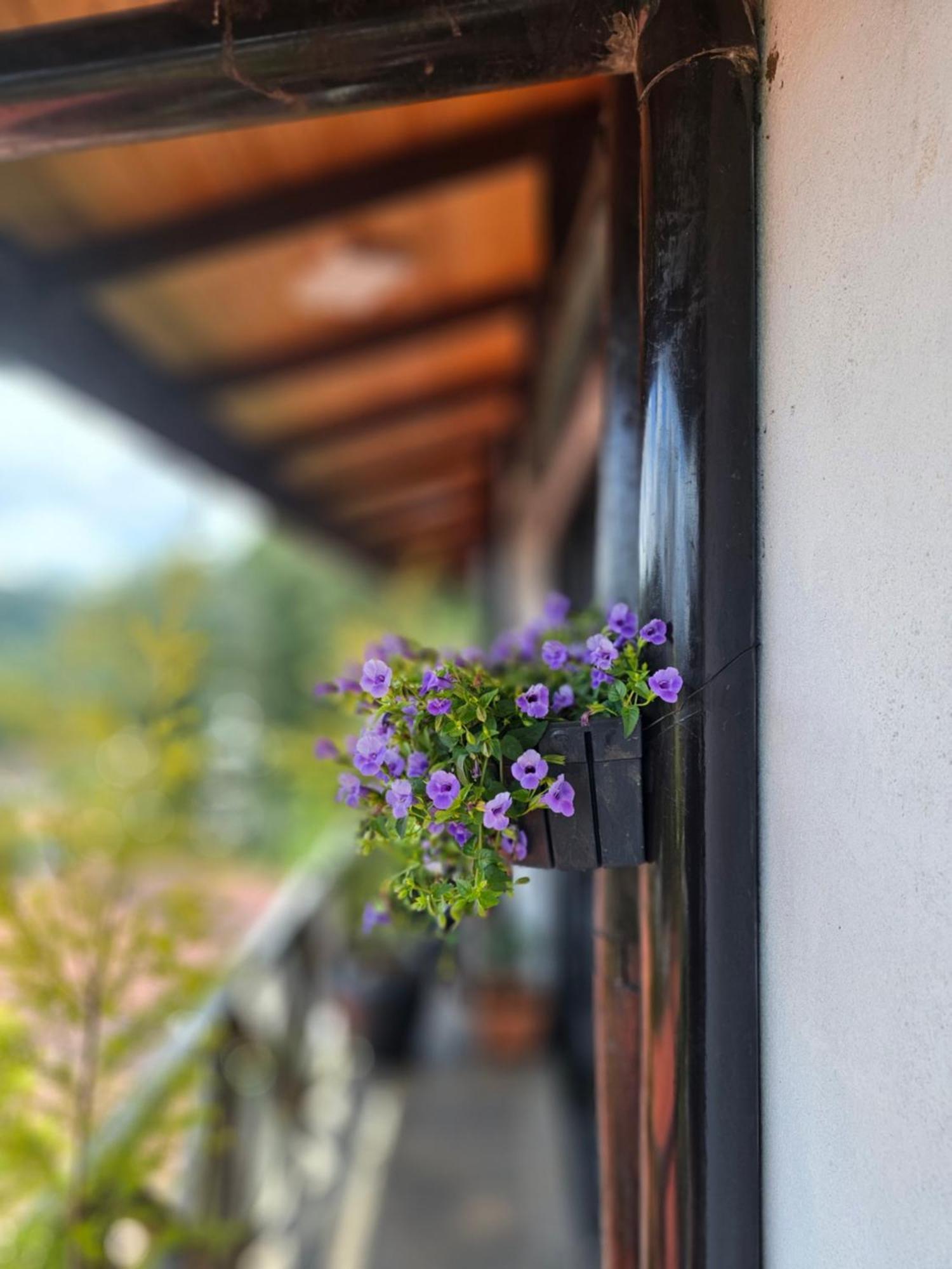 Chez Allen Nuwara Eliya Luaran gambar